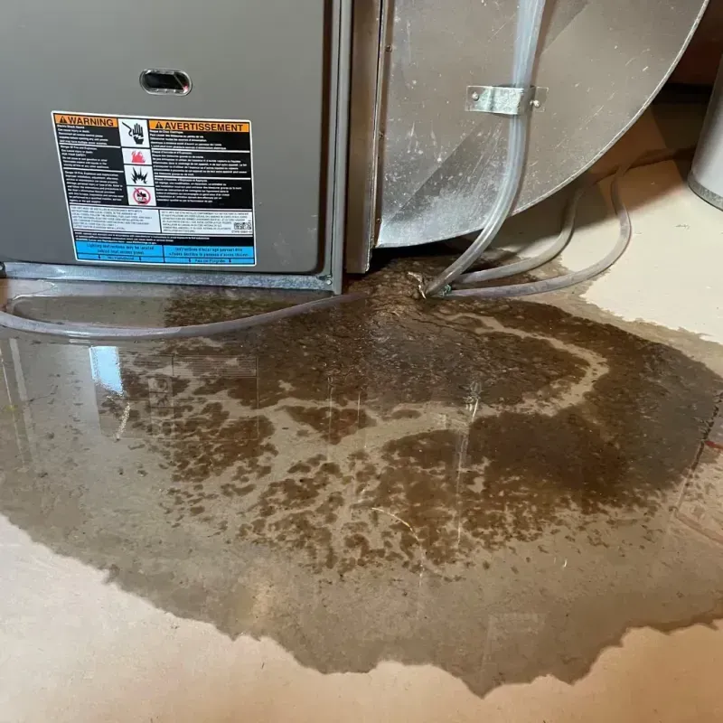 Appliance Leak Cleanup in Pineridge, SC